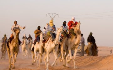 Camel Jockeys in the UAE