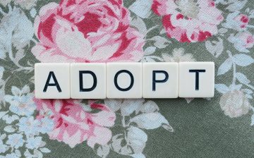 Episode 2: Adopted into Slavery (video)