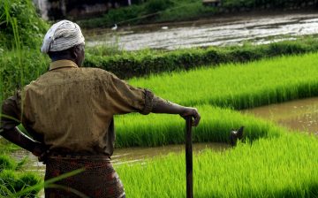 Slavery, Forced Labor, Debt Bondage and Human Trafficking: From Conceptual Confusion to Targeted Solutions