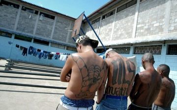 The Connection between the Mara Salvatrucha (MS-13) and Human Trafficking