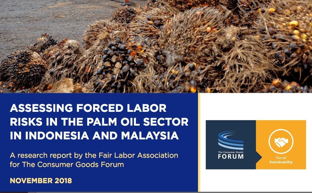 Forced Labor Risks in the Palm Oil Sector in Indonesia and Malaysia