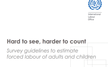 Survey Guidelines to Estimate Forced Labor of Adults and Children