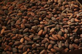 Challenging Importation of Cocoa Produced with Forced Child Labor