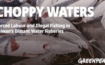Choppy Waters – Forced Labor and Illegal Fishing in Taiwan’s Distant Water Fisheries