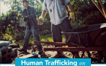 Human Trafficking on Temporary Work Visas: A Data Analysis 2015-2017
