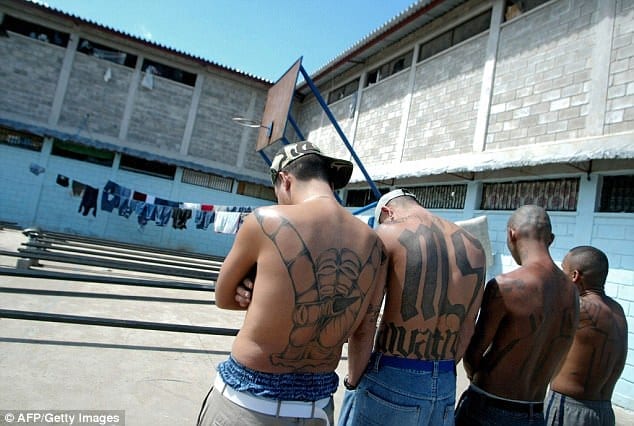 The Connection between the Mara Salvatrucha and Human Trafficking