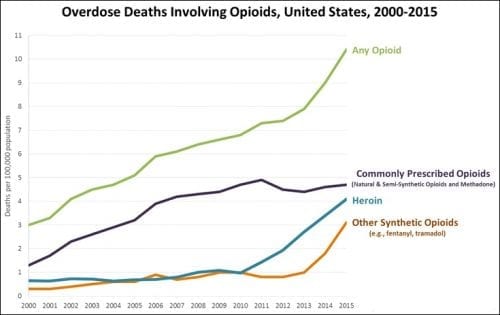 Human Trafficking & the Opioid Crisis: An Interview with Dr. Hanni Stoklosa