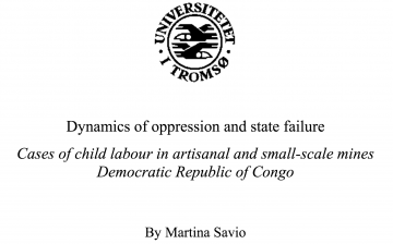 Dynamics of oppression and state failure: Cases of child labour in  artisanal and small – scale mines – Democratic Republic of Congo