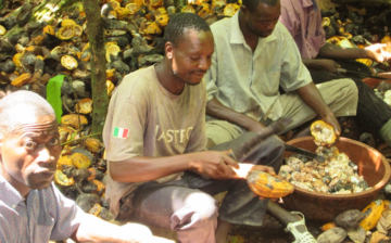 Independent external monitoring of Nestlé’s cocoa supply chain in Ivory Coast: 2014-2015