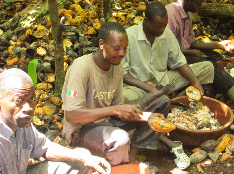 Independent external monitoring of Nestlé’s cocoa supply chain in Ivory Coast: 2014-2015