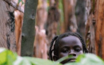 Emerging good practice in combating the worst forms of child labour in West African cocoa-growing communities