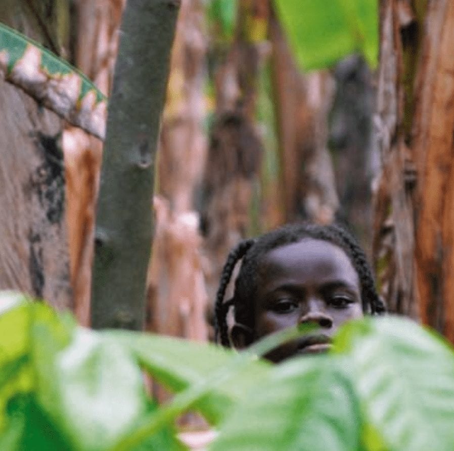 Emerging good practice in combating the worst forms of child labour in West African cocoa-growing communities