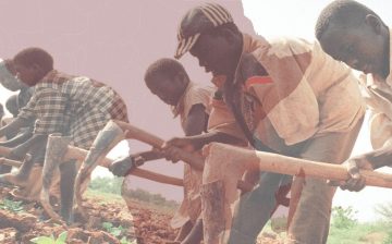 Combating forced labour and trafficking in Africa: Background paper