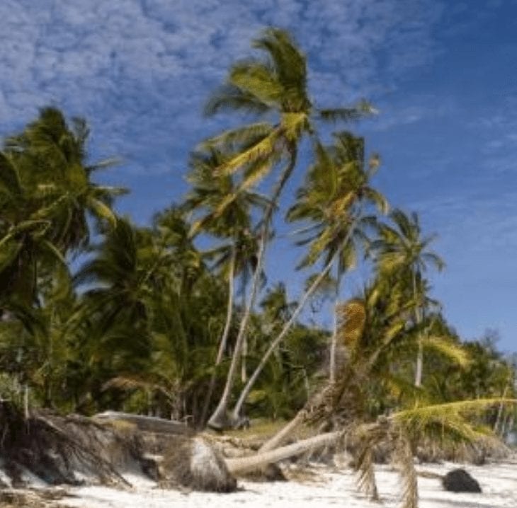 Child Tourism Prostitution in the Context of Development, in the Coastal Towns of Kenya.