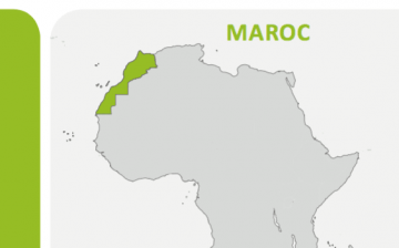 Rapport Global de Suivi de la Mise en Oeuvre des Actions de Lutte Contre l’Exploitation Sexuelle des Enfants à des Fins Commerciales: Maroc
