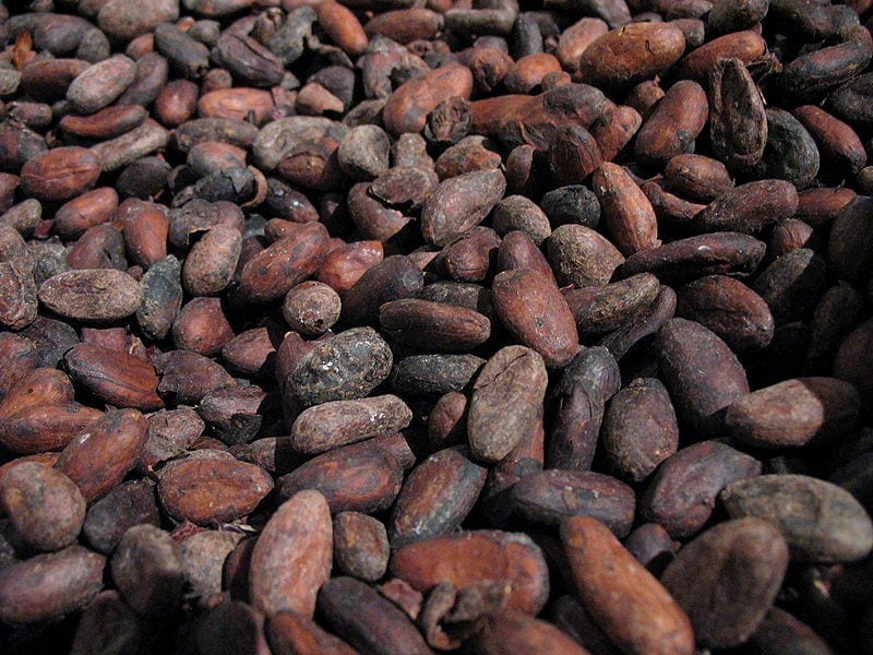 Forced Labor in the Cocoa Sector