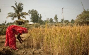 Understanding the psychosocial and mental health needs of bonded labourers in south-eastern Nepal