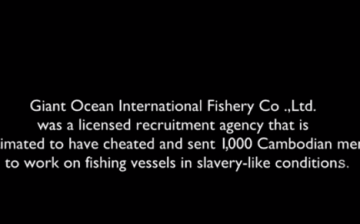 The Giant Ocean Case (video)