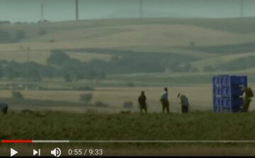The Invisibles: Inhumane Conditions of Italy’s Migrant Farm workers