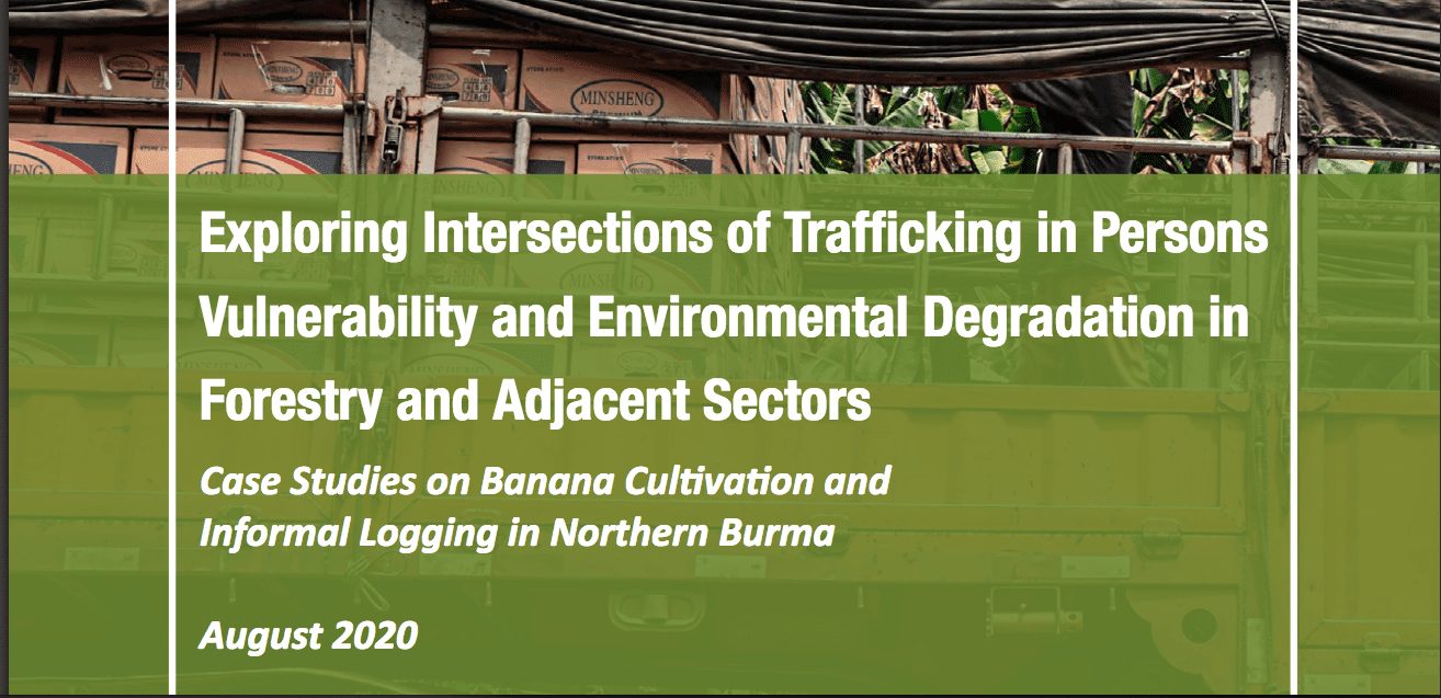 Exploring Intersections of Trafficking in Persons Vulnerability and Environmental Degradation in Forestry and Adjacent Sectors