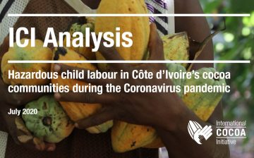 Hazardous child labour in Côte d’Ivoire’s cocoa communities during COVID-19