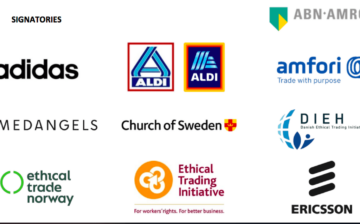 Support for EU framework on Mandatory Human Rights and Environmental Due Diligence