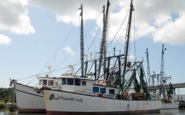 United States Urges WTO Members to Address Forced Labor on Fishing Vessels in Ongoing Fisheries Subsidies Negotiations