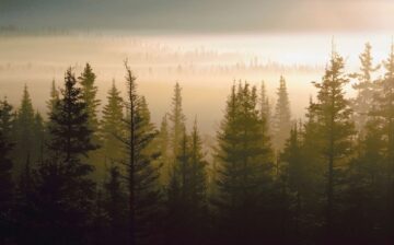 What if a new EU law could protect people and the planet?