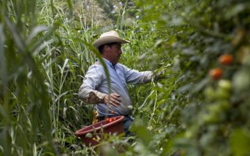 Base Motives: The case for an increased focus on wage theft against migrant workers