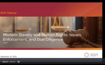 Modern Slavery and Human Rights: Issues, Enforcement, and Due Diligence