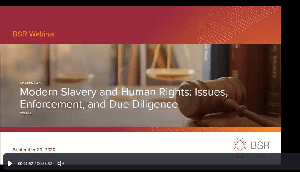 Modern Slavery and Human Rights: Issues, Enforcement, and Due Diligence