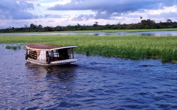 Feminización de la migración, tráfico y trata de mujeres en la Amazonía