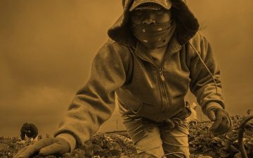 Tiempo de Reforma: Abuso de las y los trabajadores agrícolas en el Programa del H-2A