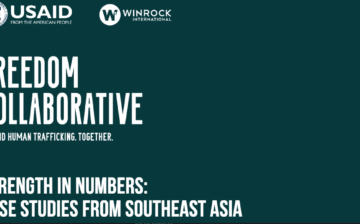 Strength in Numbers: Publication of the Freedom Collaborative user Case Studies Report