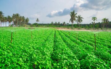IOM Launches Global Policy Network to Promote Ethical Recruitment