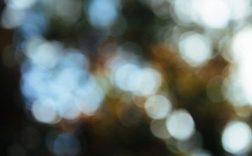 Trends and Gaps in the Corporate Partnership Landscape