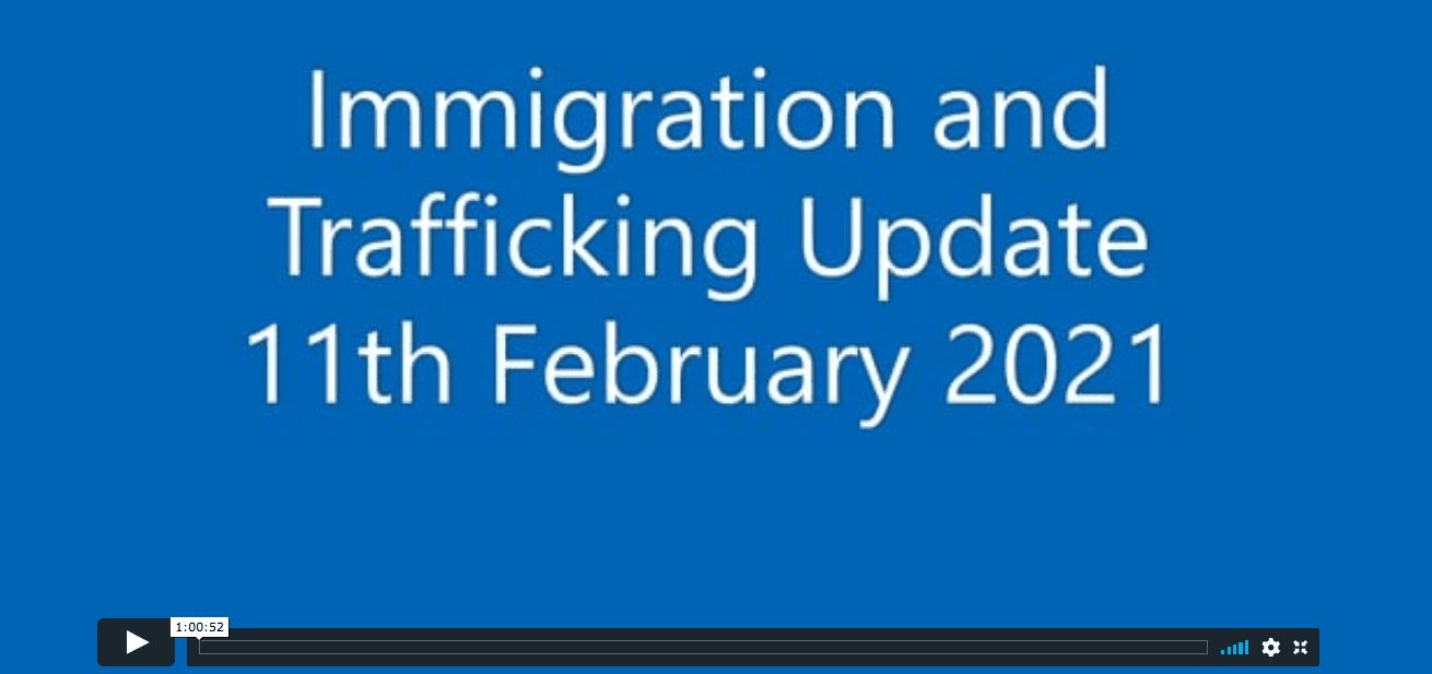 Webinar: Immigration and Trafficking Update