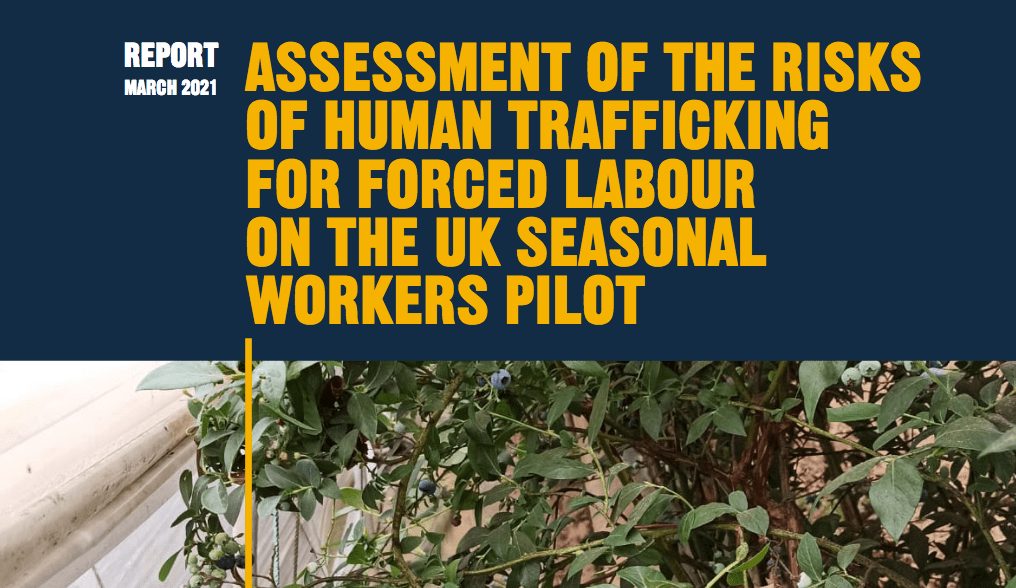 Assessment of the Risks of Human Trafficking for Forced Labor on the UK Seasonal Workers Pilot