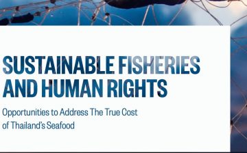 Sustainable Fisheries and Human Rights: Opportunities to Address The True Cost of Thailand’s Seafood