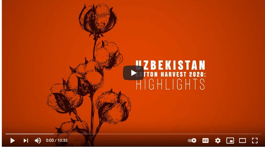 Uzbekistan Cotton Harvest 2020: Highlights