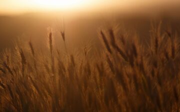 Collaborating to Break the Cycle of Modern Slavery