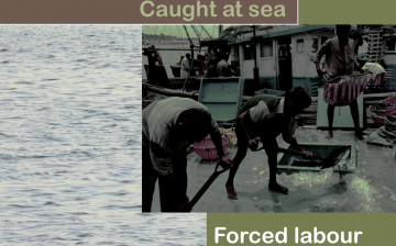 Caught at Sea: Forced Labour and Trafficking in Fisheries