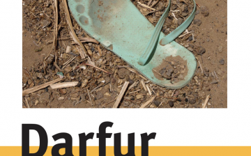 Abductions, sexual slavery and forced labour in Darfur