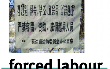 Forced Labour in North Korean Prison Camps