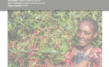He Said, She Said: Child Labor Measurement in Ethiopia