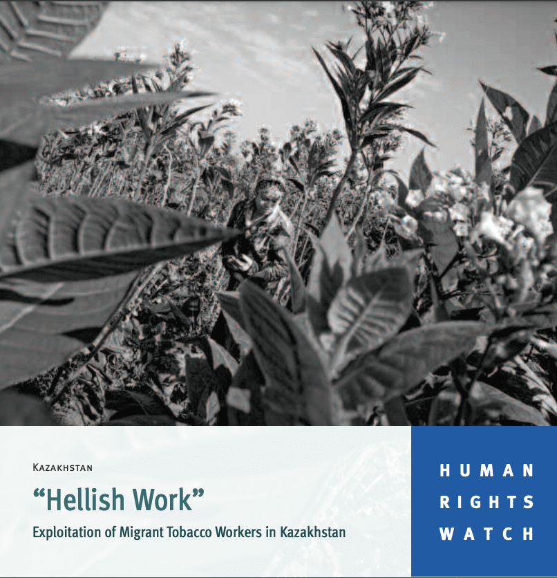 “Hellish Work” Exploitation of Migrant Tobacco Workers in Kazakhstan