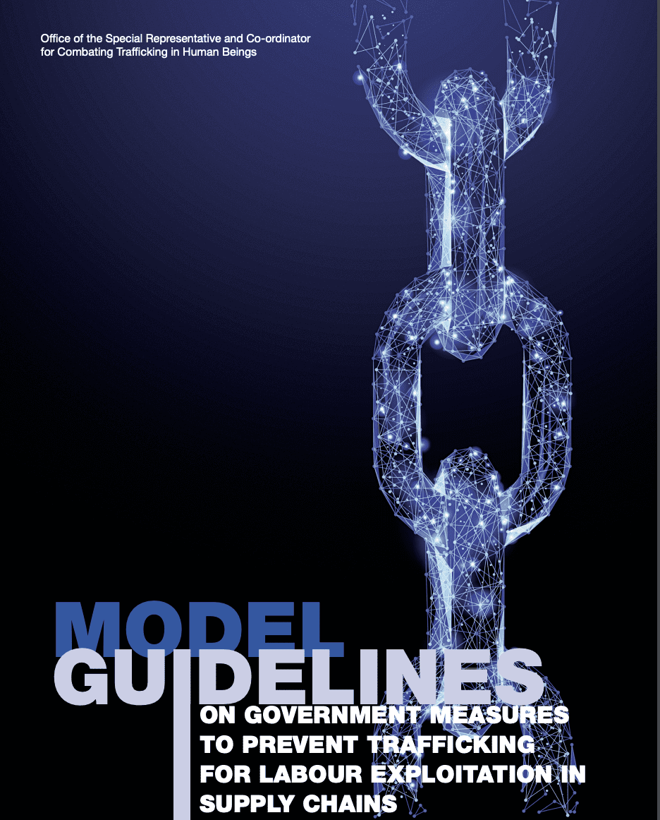 Model Guidelines on Government Measures to Prevent Trafficking for Labour Exploitation in Supply Chains