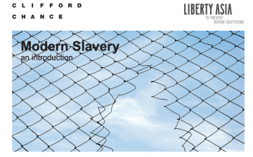 Modern Slavery: an Introduction