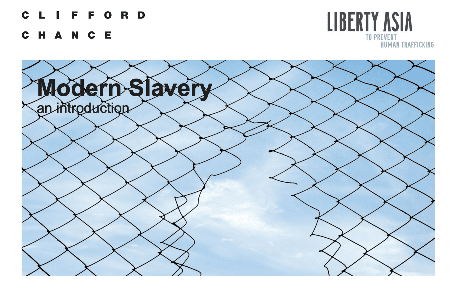 Modern Slavery: an Introduction