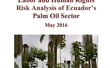 Labor and Human Rights Risk Analysis of Ecuador’s Palm Oil Sector